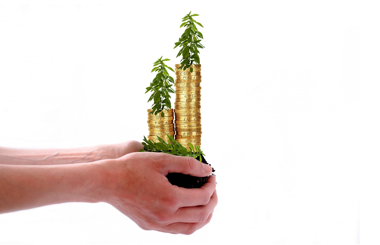 Safety and Savings: How to Protect Your Money